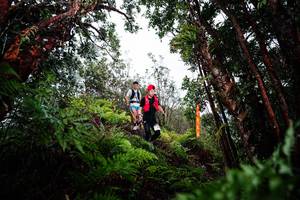 BIB: 
                            <button type="button" onclick="openModal(26203579)" class="btn btn-primary btn-sm float-right btn-popup" data-toggle="modal" data-target=".modal-high-quality">
                        <i class="fas fa-shopping-cart"></i> Add to Cart
                    </button>
                                            <button type="button" onclick="isThisMe(26203579, true)" class="btn btn-success btn-sm float-right btn-popup btn-isme hidden" data-toggle="tooltip" data-placement="bottom" title="นี่คือรูปของคุณใช่ไหม คลิกที่นี่เพื่อเอาเข้าอัลบั้ม">
                        <i class="fas fa-plus"></i> Add to album
                    </button>
                    <button type="button" onclick="isThisMe(26203579, false)" class="btn btn-warning btn-sm float-right btn-popup btn-isnotme hidden">
                        <i class="fas fa-ban"></i> Remove from album
                    </button>